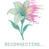 Reconnecting