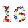 Flowers 16