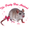 Glamour Mouse Arrives