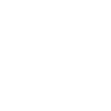 Monkeys boxing