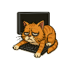 Chat Fatigué sur Clavier