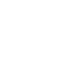 VER3 White