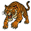 Tiger Traditional Tattoo Style