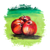 Three Red Apples