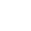 White Viking Ship