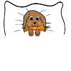 Sleepshirt Rabbit