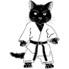 Karate Cat in Black Belt