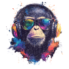 DJ Monkey Festival