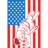 Breakdance USA Flag