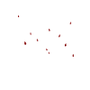 Sangue dí u m sangue