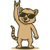 Cool coati rocker bébé