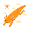 Shooting star axolotl