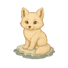 Nordic Arctic - Arctic Fox