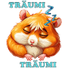 HAMSTER SLEEP DREAMY DREAMY