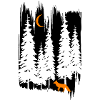 Fuchs im Wald bei Nacht