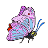 Schmetterling love
