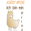 Küss mich, ich bin ein Prinz!