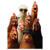 Huhn