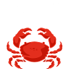 Sea and crab