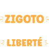 Zigoto