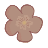 Rosa Blume