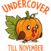 Undercover Turkey