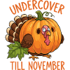 Undercover Turkey