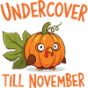 Undercover Turkey