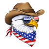 American Bald Eagle Cowboy