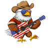 American Bald Eagle