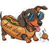 Jouer au teckel comme un hot-dog