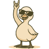 Cool rocker swan chick