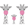 Giraffe family with chewing gum