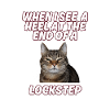 Lockstep cat