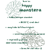 Monstera Instructions