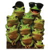 Frosch