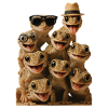 Gecko