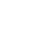 NPC crossing BW
