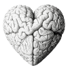 Heart brain