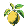 Dessin de citron