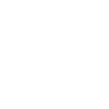 Tropical Koala Classic