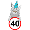 Birthday 40