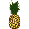 Pineapple Summer Festival Holiday