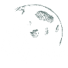 Lunar Forest Silhouette Illustration
