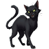Black Cat