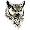 Eagle owl