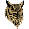 Eagle owl