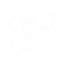 Dove of peace on earth