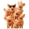 Schwein