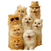 Persisch